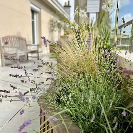 L'isly, Dernier Etage En Centre De Avec Terrasse De 50m2 *